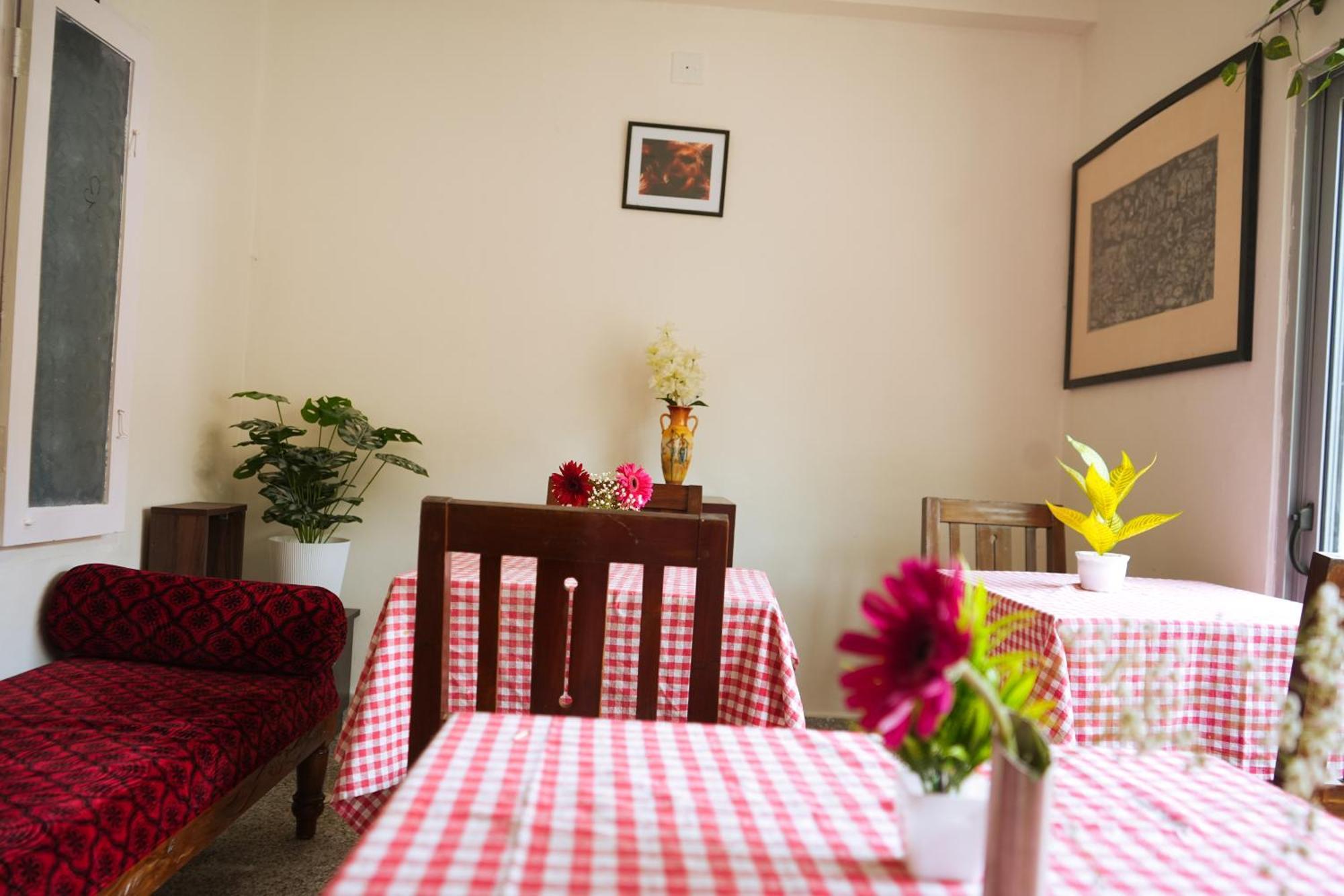 Mother Tree Inn Kochi Zewnętrze zdjęcie